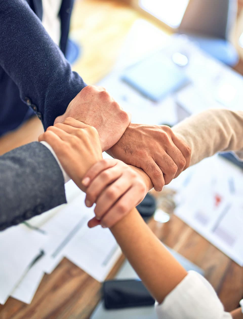 Partnership and growth path